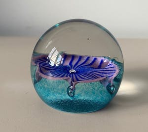 Niet of onleesbaar gesigneerd - Caithness Schotland - Glazen presse papier Petunias kopen? Bied vanaf 1!