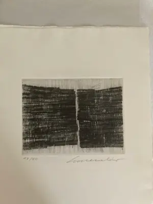 Servulo Esmeraldo - 5 carborandum etsen in kleur kopen? Bied vanaf 250!