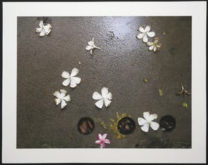 Mark Verdoes - Giclee, Buddhalove - Fallen Angels kopen? Bied vanaf 1!