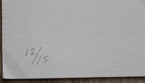 Klaas Gubbels - sjabloondruk: kan - 2006 kopen? Bied vanaf 295!