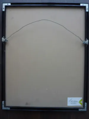 Niet of onleesbaar gesigneerd - De Band kopen? Bied vanaf 1!