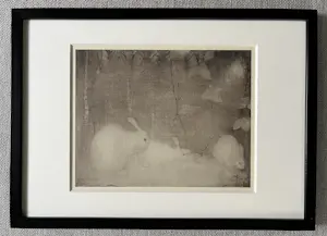 Jan Mankes - Originele Heliogravure Konijntjes in Herfstbos 1923 kopen? Bied vanaf 135!