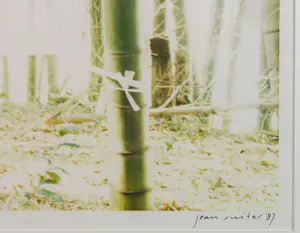 Jean Ruiter - Foto, Bamboebos - Ingelijst kopen? Bied vanaf 50!