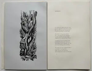 Ivo Damme - 12 houtsneden Ontluistering Marcel Leemans kopen? Bied vanaf 20!