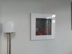 Hans Dolieslager - Klaprozen - kopen? Bied vanaf 120!