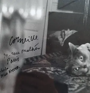 Corneille - Corneille en zijn Kat in Parijs kopen? Bied vanaf 250!