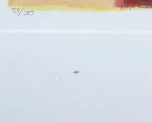 Wil Willemsen - Zeefdruk, Close to you - Ingelijst kopen? Bied vanaf 1!