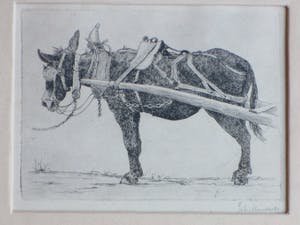 Johannes Henrichs - Ezeltje - Ets kopen? Bied vanaf 40!