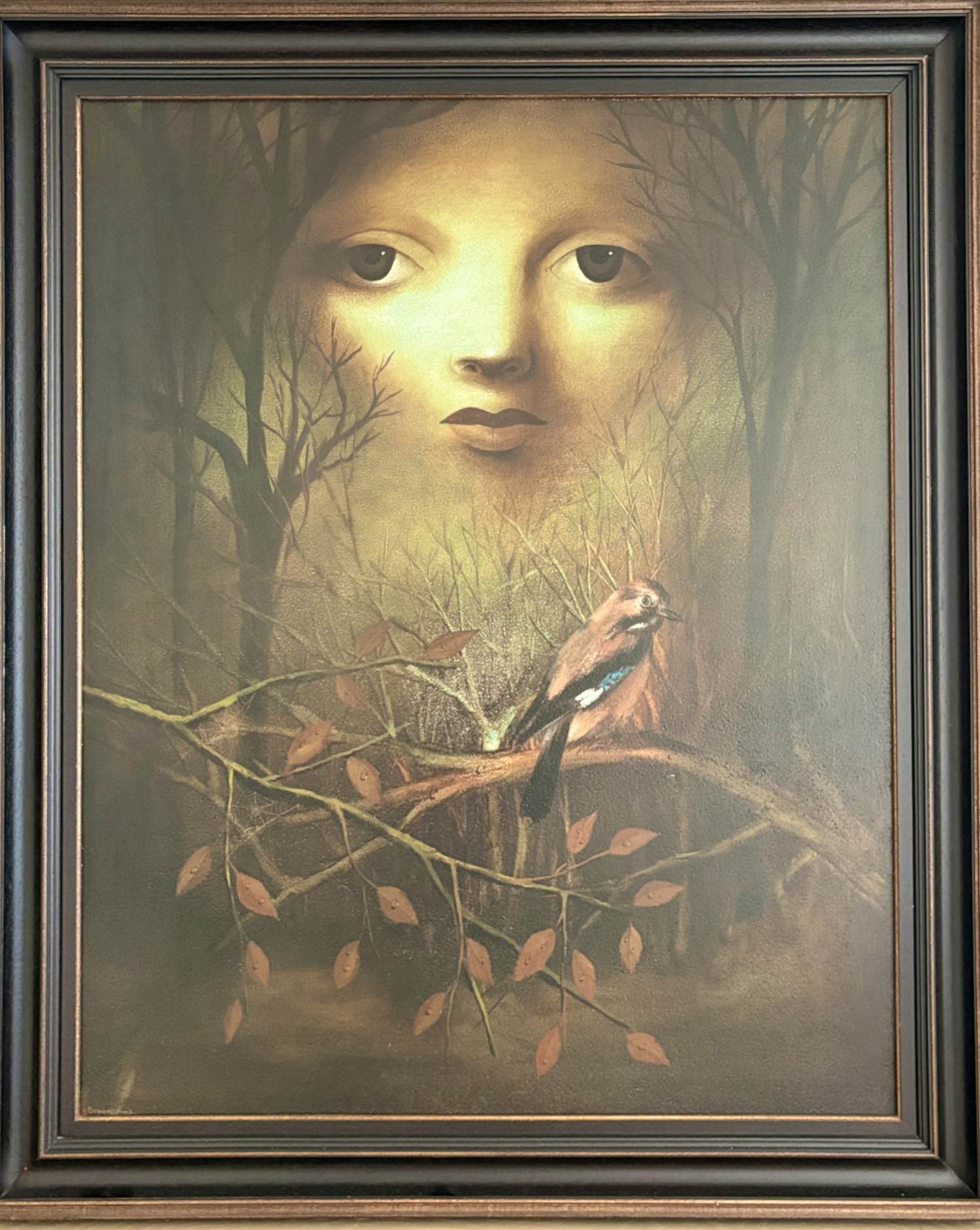 Frank Bogaert - Ongekend kopen? Bied vanaf 1000!