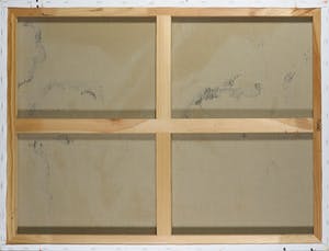 Pieter Haan - Acryl op doek, Vissen kopen? Bied vanaf 50!