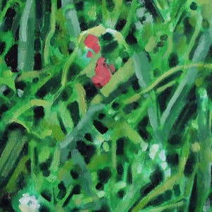 Willem Visser - Klaprozen 1 kopen? Bied vanaf 99!