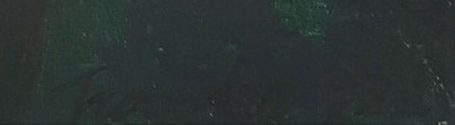 Pim Trooster - Olieverf op doek, Sneeuwklokje - Ingelijst kopen? Bied vanaf 50!