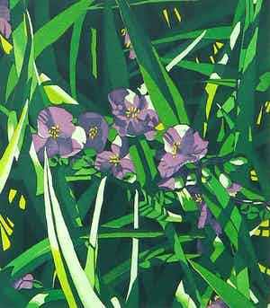 Hans van Liempt - Ets en aquatint, Zonder titel - Ingelijst verkocht voor € 35!