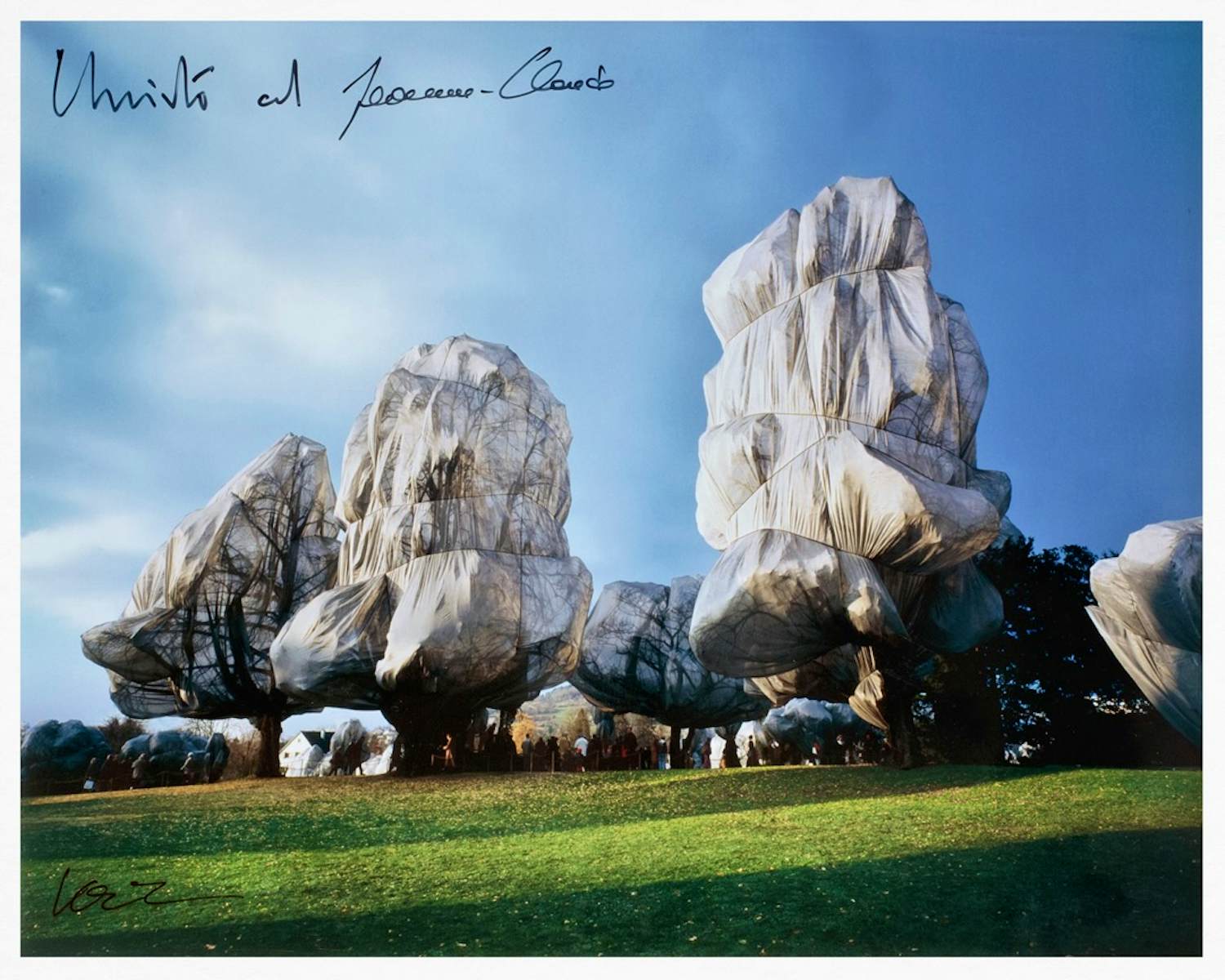 Christo - XXL Book Wrapped Trees + print + originele stof, gesigneerd&genummerd - Taschen kopen? Bied vanaf 539!