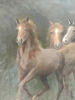 Jan Schaeffer - Groep paarden kopen? Bied vanaf 99!