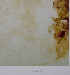 Armando - Kleuren Giclee. Titel, "Weisse Gestaltung". Hand gesigneerd SLECHTS 30 EX!!! kopen? Bied vanaf 70!