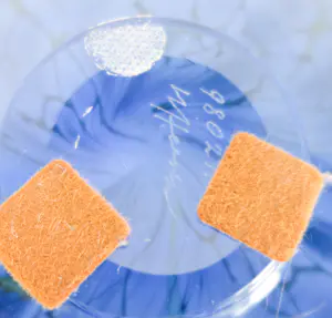 Willem Heesen - Glasobject, Grote schaal met patroon kopen? Bied vanaf 225!