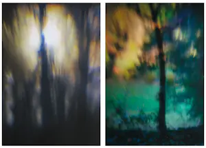 AcheterHans van Ommeren - Set van twee foto's op dibond, Lichtspel in bos? Enchérissez de 100!