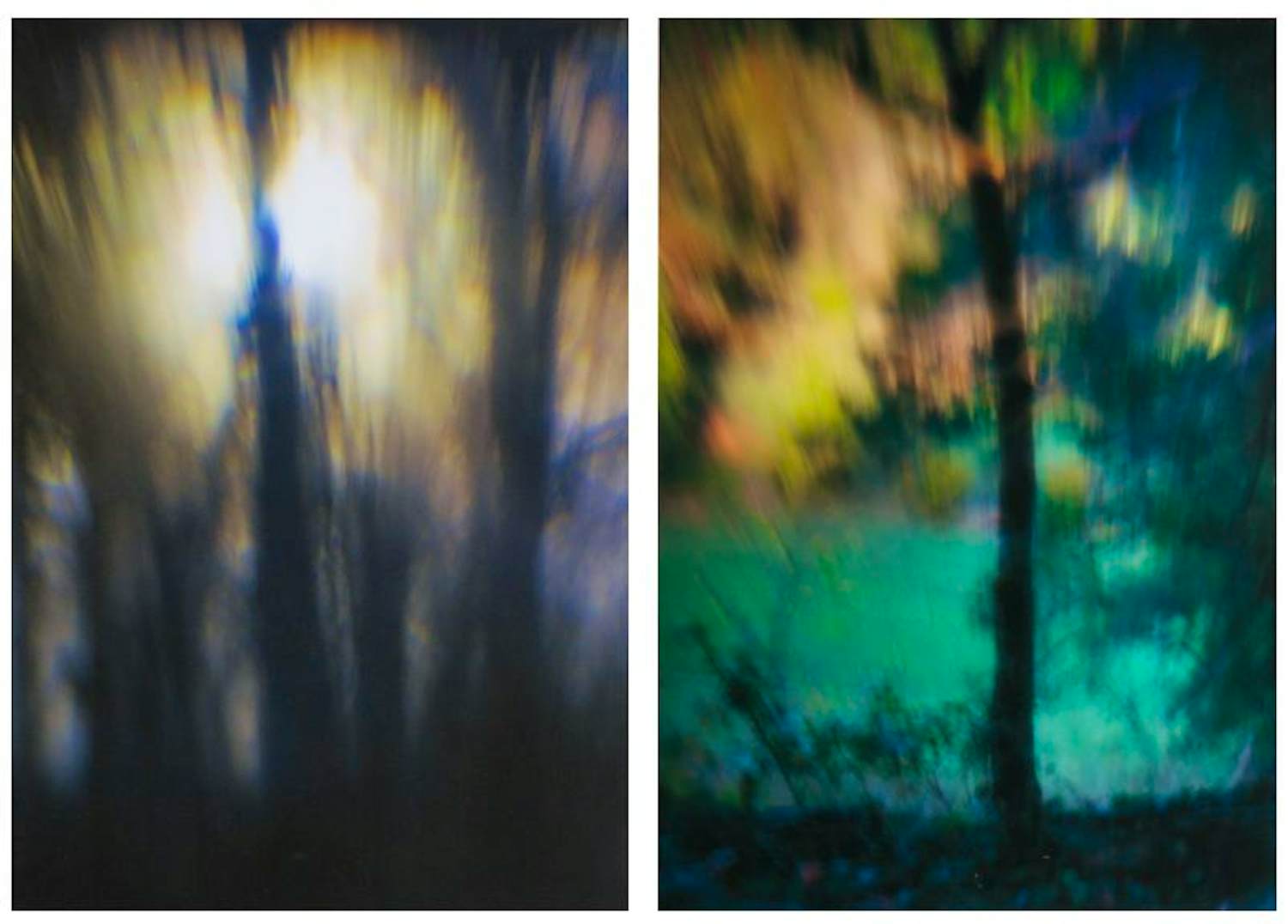 Hans van Ommeren - Set van twee foto's op dibond, Lichtspel in bos kopen? Bied vanaf 100!