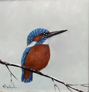 Henk Poeder - Vogel kopen? Bied vanaf 99!