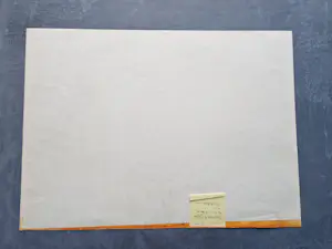 Bernhard Jäger - UNIKAT (persönliches Exemplar) Große farb-Lithografie "stachelschwein" signiert kopen? Bied vanaf 56!