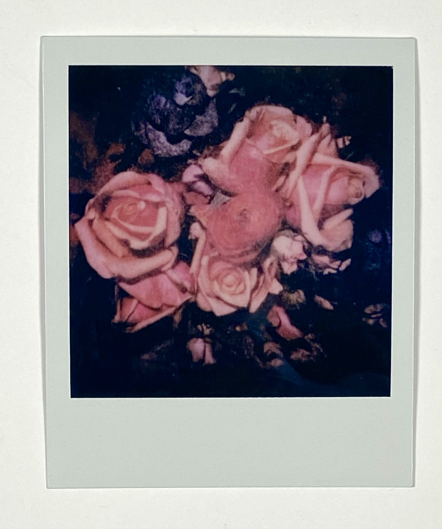 Buy Nobuyoshi Araki - Still Life - Original Polaroid (with COA)? Bid from 400!