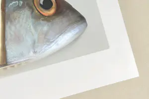 Dominic Rouse - 'Fish Can & Fish Can't' (2011) - Twee prenten kopen? Bied vanaf 140!