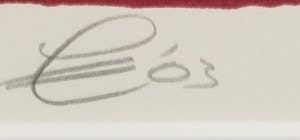 Jacques Tange - Tango diner kopen? Bied vanaf 150!