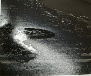 Erwin Olaf - C-Print, Esmeralda, uit de serie 'Blacks' kopen? Bied vanaf 400!