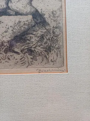 Jan Coenraad Nachenius - Kust landschap kopen? Bied vanaf 20!