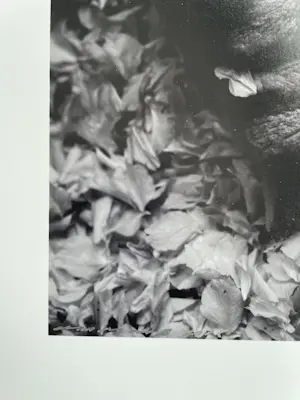 Paul Blanca - Mama kopen? Bied vanaf 150!