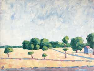 Jan Willem Versteeg - Hoog Buurlo verkocht voor € 90!