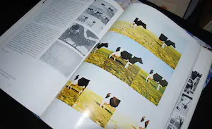 Jan Cremer - 5x: Schilder vd Zee GESIGNEERD+ c o m p l e t e grafische werk 1956-98+KALENDER kopen? Bied vanaf 60!
