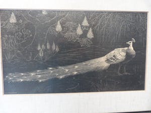 Henri Verstijnen - De Pauw. kopen? Bied vanaf 65!