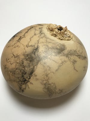 Helen Kolijn - Geen titel kopen? Bied vanaf 25!