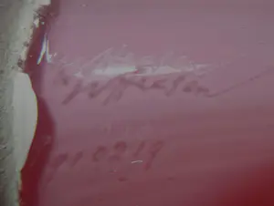 Willem Heesen - Groeivorm kopen? Bied vanaf 150!