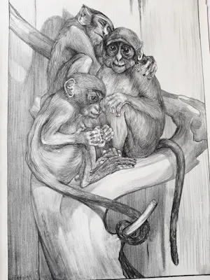 Theo van Hoytema - Litho, 'Apen' kopen? Bied vanaf 35!