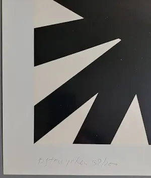 Peter Struycken - gesigneerde zeefdruk kopen? Bied vanaf 229!