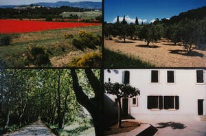 Paul Huf - C-print, Provence - Ingelijst (Groot) kopen? Bied vanaf 150!
