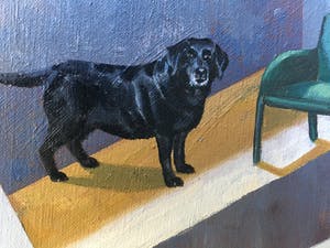 Marianne Roodenburg - Chatroom met hond kopen? Bied vanaf 50!