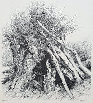 Patrick Creyghton - Wilg met boomstammen, litho kopen? Bied vanaf 50!