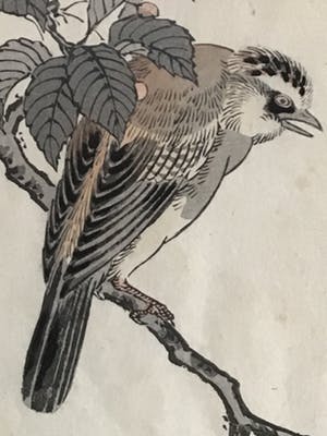 Niet of onleesbaar gesigneerd - Twee Chinese schilderijen met vogels kopen? Bied vanaf 10!