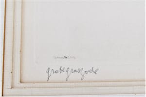 Renaat Veris - Grote graszode kopen? Bied vanaf 45!