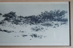 Dirk Harting - Duinlandscahp - Ets rond 1920 kopen? Bied vanaf 35!