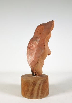 Niet of onleesbaar gesigneerd - Portret van terracotta op houten sokkel kopen? Bied vanaf 1!