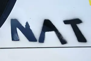 Herman Brood - Auto gespoten in TV studio live bij Catherine Keyl kopen? Bied vanaf 4500!