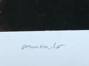 Armando - ohne Titel kopen? Bied vanaf 80!