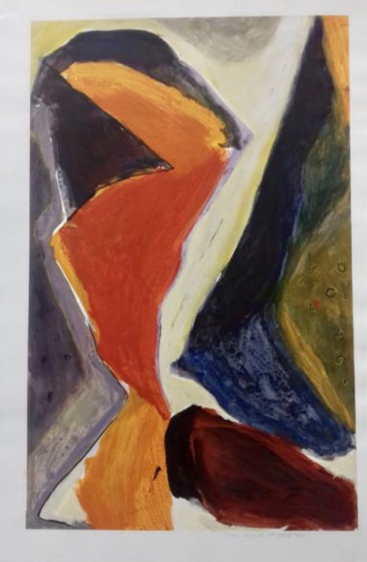 Alexander Vogels - The Colours of Jazz - TOP STUK!! -gesigneerd! kopen? Bied vanaf 70!