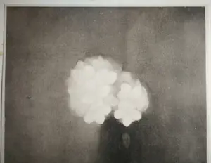 Jan Mankes - Jasmijn in vaas. Heliogravure. kopen? Bied vanaf 1!