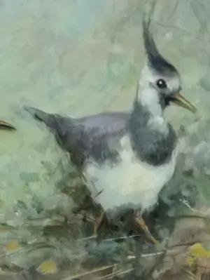 Jan Schaeffer - Kieviten kopen? Bied vanaf 75!